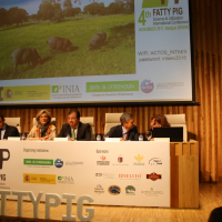 img-7494.jpg