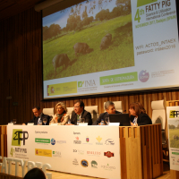 img-7496.jpg