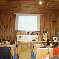 img-7632.jpg