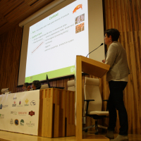 img-7899.jpg
