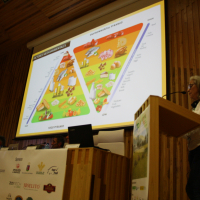 img-7990.jpg